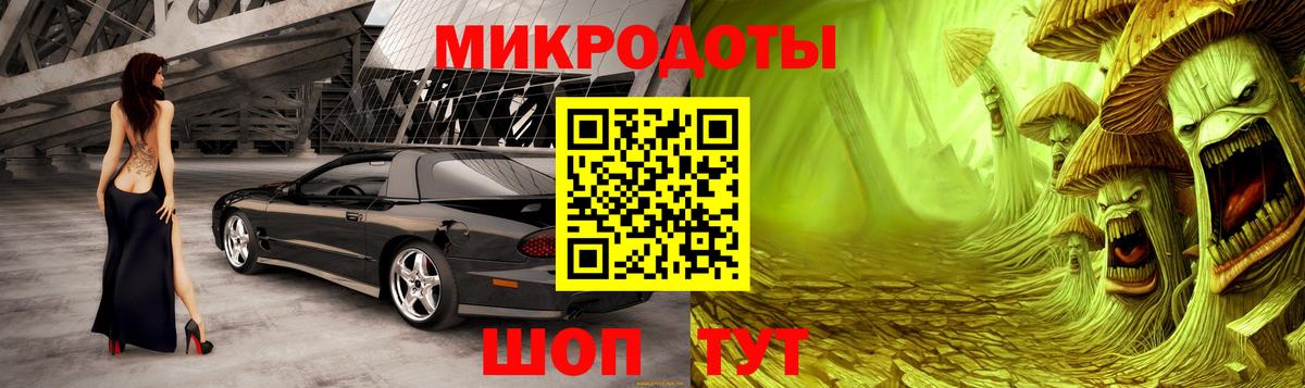 Псилоцибиновые грибы Psilocybe Большой Камень
