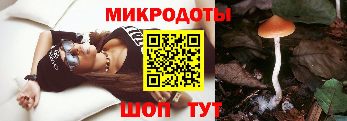 Галлюциногенные грибы прущие грибы  Вход с VPN  Большой Камень  Псилоцибиновые грибы MAGIC MUSHROOMS 